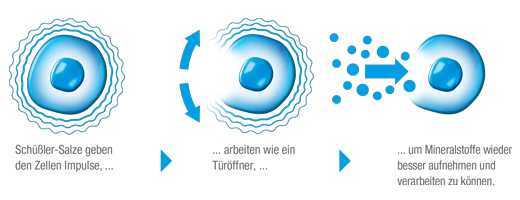 BIOCHEMIE DHU 3 Ferrum phosphoricum D 12 tableta, 420 kom