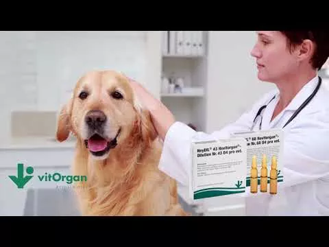 Video o proizvodu NeyDIL® br. 43 Revitorgan® D4 pro vet.Ampule, 5X2 ml