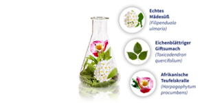 GELENCIUM artro mješavina, 2X100 ml