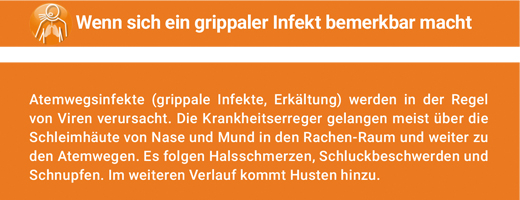 ANGOCIN Anti Infection N filmom obložene tablete, 500 kom