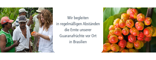 GUARANA BIO Čisti prah, 100 g