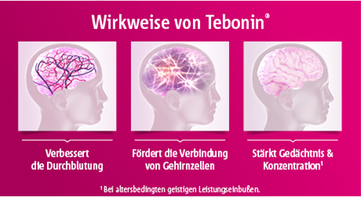 TEBONIN koncentrat 240 mg filmom obložene tablete, 120 kom