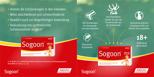 SOGOON 480 mg filmom obložene tablete, 20 kom