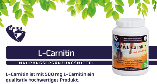 L-CARNITIN 500 kapsula, 100 kom
