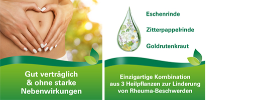 PHYTODOLOR Tinktura, 100 ml