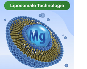 GLYCOWOHL vitalne liposomalne magnezijeve kapsule visoke doze, 120 kom