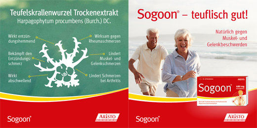 SOGOON 480 mg filmom obložene tablete, 20 kom