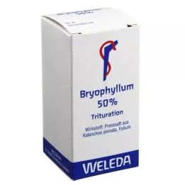 BRYOPHYLLUM 50% oralni prašak, 20 g