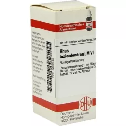 RHUS TOXICODENDRON LM VI Razrjeđenje, 10 ml