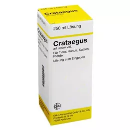 CRATAEGUS Razrjeđenje vet., 250 ml