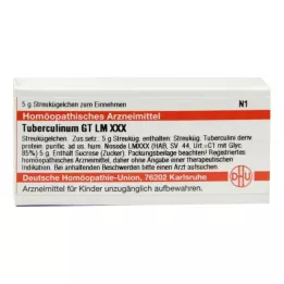 TUBERCULINUM GT LM XXX Globule, 5 g