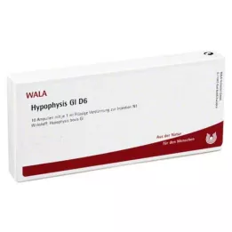 HYPOPHYSIS GL D 6 ampula, 10X1 ml