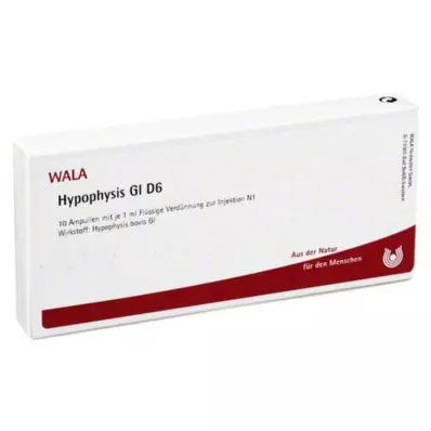 HYPOPHYSIS GL D 6 ampula, 10X1 ml HYPOPHYSIS GL D 6 ampula, 10X1 ml