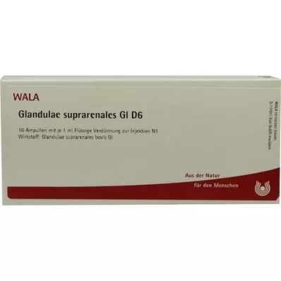 GLANDULAE SUPRARENALES GL D 6 ampula, 10X1 ml