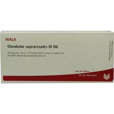 GLANDULAE SUPRARENALES GL D 6 ampula, 10X1 ml