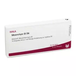 MESENCHYM GL D 6 ampula, 10X1 ml