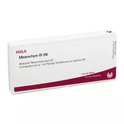 MESENCHYM GL D 6 ampula, 10X1 ml
