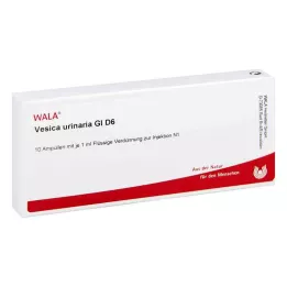 VESICA URINARIA GL D 6 ampula, 10X1 ml