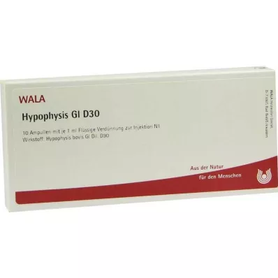 HYPOPHYSIS GL D 30 ampula, 10X1 ml