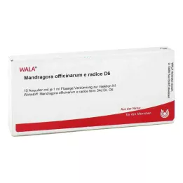 MANDRAGORA OFFICINARIUM e radice D 6 ampula, 10X1 ml
