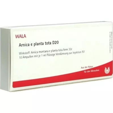 ARNICA E Planta tota D 20 ampula, 10X1 ml