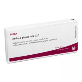 ARNICA E Planta tota D 20 ampula, 10X1 ml