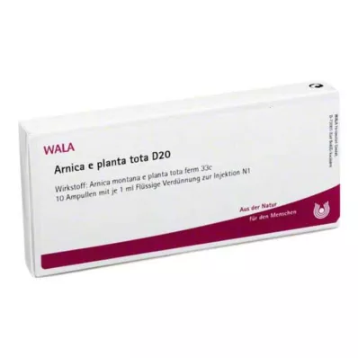 ARNICA E Planta tota D 20 ampula, 10X1 ml