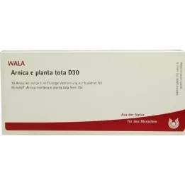 ARNICA E Planta tota D 30 ampula, 10X1 ml