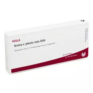 ARNICA E Planta tota D 30 ampula, 10X1 ml