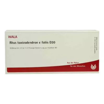 RHUS TOXICODENDRON E foliis D 30 ampula, 10X1 ml