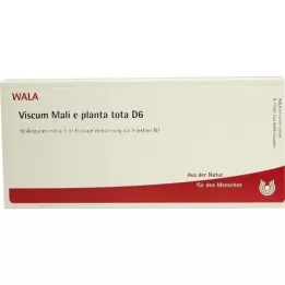 VISCUM MALI e planta tota D 6 ampula, 10X1 ml