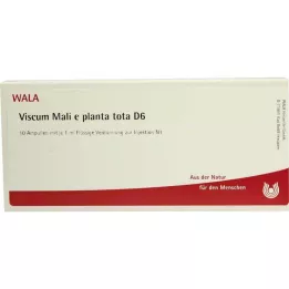 VISCUM MALI e planta tota D 6 ampula, 10X1 ml