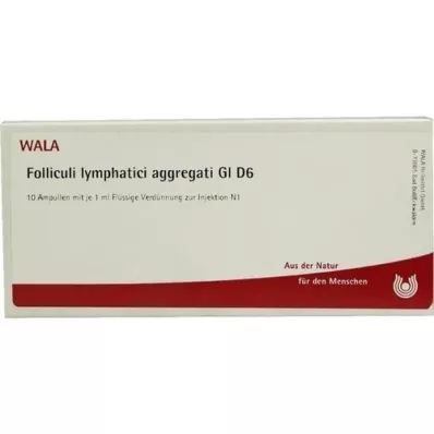 FOLLICULI LYMPHATICI aggregati GL D 6 ampula, 10X1 ml