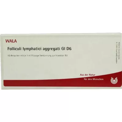 FOLLICULI LYMPHATICI aggregati GL D 6 ampula, 10X1 ml