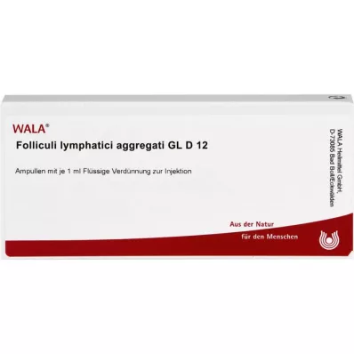 FOLLICULI LYMPHATICI aggregati GL D 12 ampula, 10X1 ml