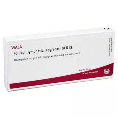 FOLLICULI LYMPHATICI aggregati GL D 12 ampula, 10X1 ml