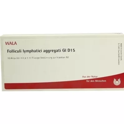 FOLLICULI LYMPHATICI aggregati GL D 15 ampula, 10X1 ml