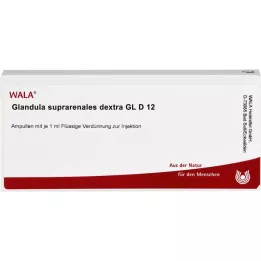 GLANDULA SUPRARENALES dekstra GL D 12 ampula, 10X1 ml