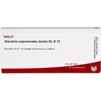 GLANDULA SUPRARENALES dekstra GL D 12 ampula, 10X1 ml