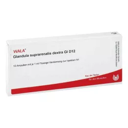 GLANDULA SUPRARENALES dekstra GL D 12 ampula, 10X1 ml