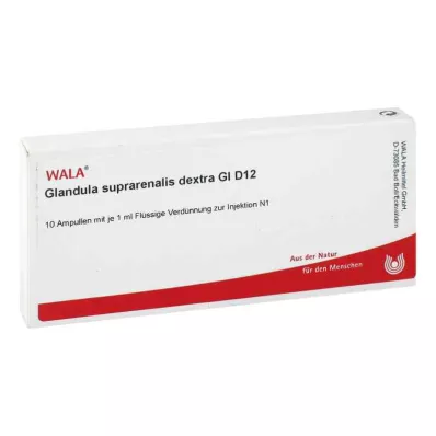 GLANDULA SUPRARENALES dekstra GL D 12 ampula, 10X1 ml