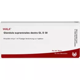 GLANDULA SUPRARENALES dekstra GL D 30 ampula, 10X1 ml