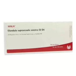 GLANDULA SUPRARENALIS sinistra GL D 4 ampule, 10X1 ml