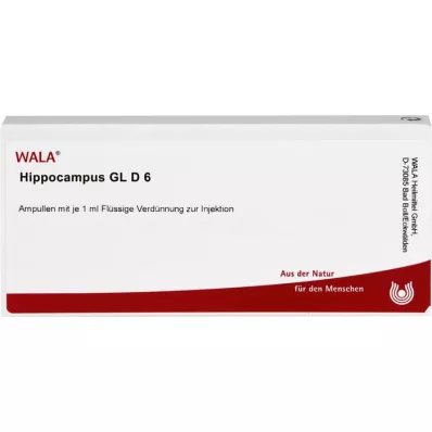 HIPPOCAMPUS GL D 6 ampula, 10X1 ml