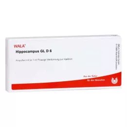 HIPPOCAMPUS GL D 6 ampula, 10X1 ml