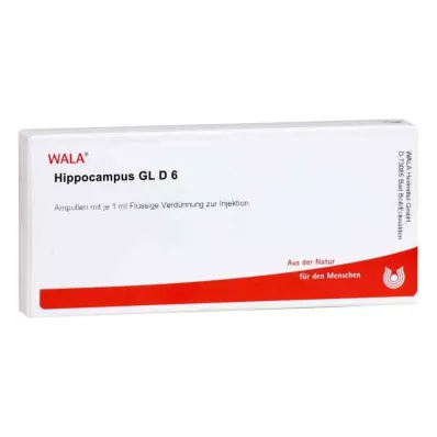 HIPPOCAMPUS GL D 6 ampula, 10X1 ml