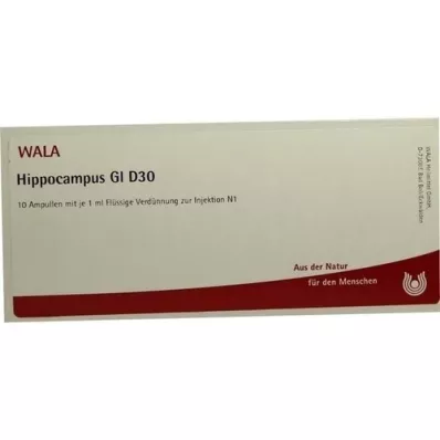 HIPPOCAMPUS GL D 30 ampula, 10X1 ml