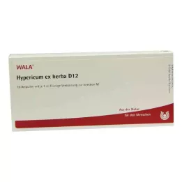 HYPERICUM EX Herba D 12 ampula, 10X1 ml