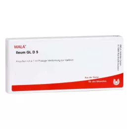 ILEUM GL D 5 ampula, 10X1 ml