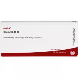 ILEUM GL D 10 ampula, 10X1 ml